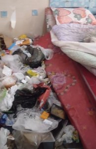 ​活久见！哈尔滨一女子将出租屋变垃圾场，房东上门后躲衣柜！网友：老鼠进屋都