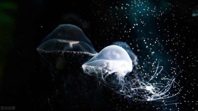 ​送礼应该送什么比较好（送礼到底送什么）