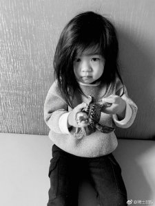 ​章子怡晒女儿近照，3岁的醒醒越来越漂亮，copy妈妈的发型超可爱