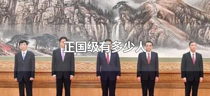 正国级有多少人