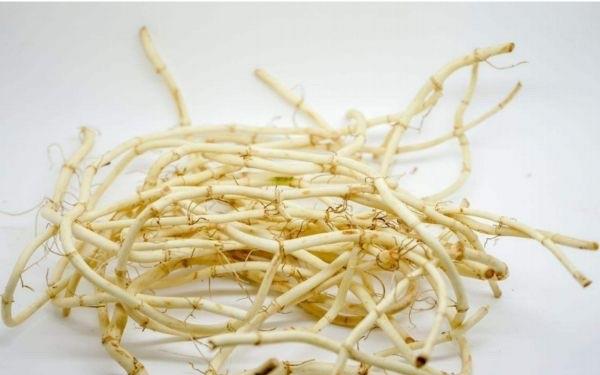 生活鱼腥草可以怎么吃 吃鱼腥草的方法  3