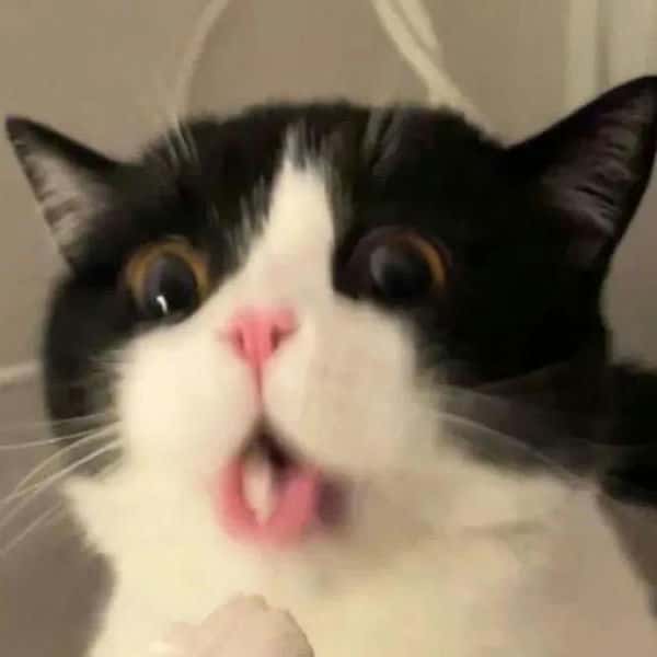 怎么判断射手座是不是喜欢你（怎么知道射手座喜欢你）