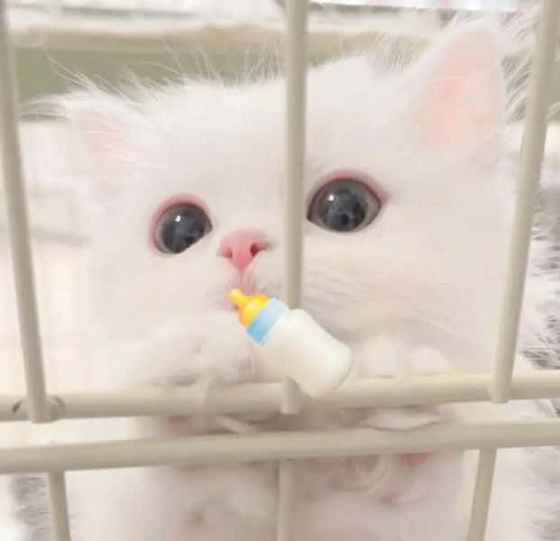 怎么判断射手座是不是喜欢你（怎么知道射手座喜欢你）