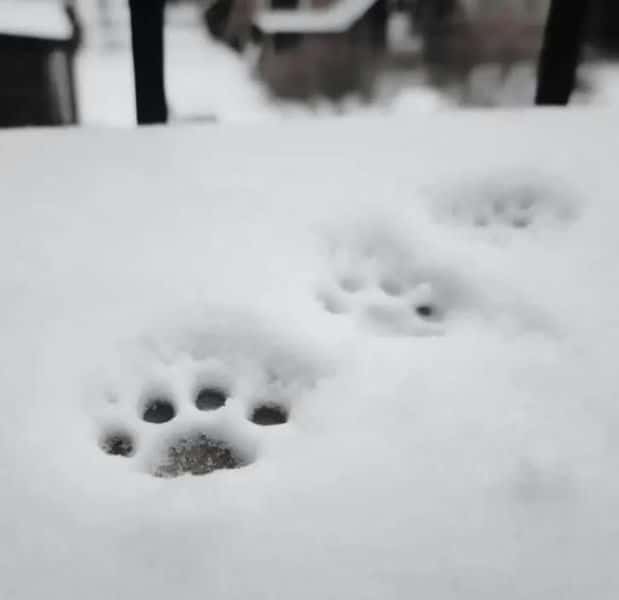 怎么判断射手座是不是喜欢你（怎么知道射手座喜欢你）