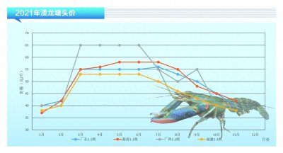 ​澳洲淡水龙虾：一月暴跌20元——《水产前沿》2021年12月刊市场趋势