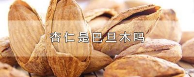 ​杏仁是巴旦木吗