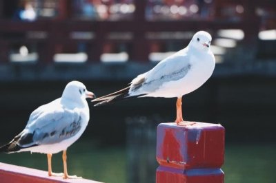 ​云南省未来24小时省内城市天气预报