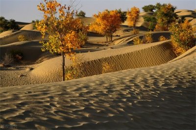 ​和田必玩的六个景点推荐，新疆和田旅游必看，建议收藏！