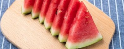 ​狗肉和西瓜可以一起吃吗