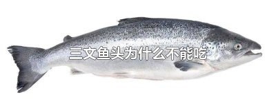 ​三文鱼头能生吃吗 三文鱼头常吃好吗