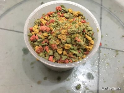 ​螺鲤钓鲤鱼的最佳配方，最后一个是“压箱底”的绝招