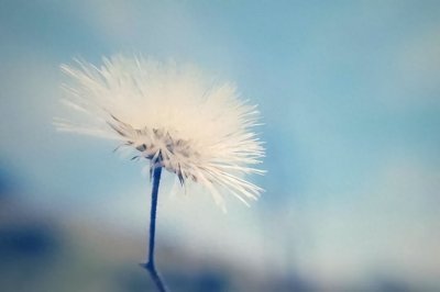 ​有这三种特征的女人，在男人心里段位是很高的，不敢轻易“撩拨”