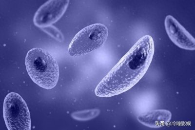 ​什么是变形虫?