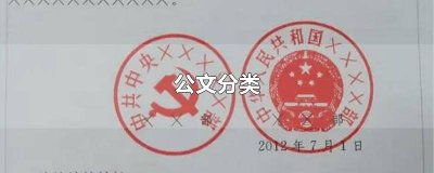 ​公文分类 规范性文件 公文分类 行文方向