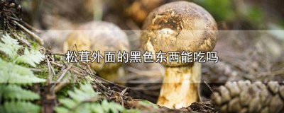​松茸外面的黑色东西能吃吗 松茸外面的黑色东西能吃吗有毒吗