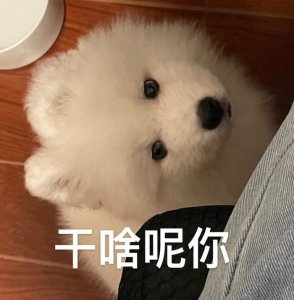 ​表情包来了 干啥呢你 偷看大佬们聊天 困 理理我呀 耶耶我来啦……