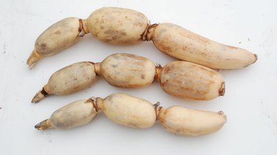 ​藕片怎么变白小窍门