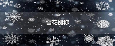 ​雪花别称
