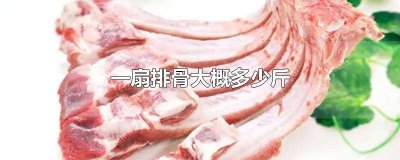 ​一整块排骨多少斤 一整扇排骨大概多少斤