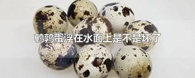 ​鹌鹑蛋放水里会浮起来是好的坏的? 鹌鹑蛋如果浸水里浮起来是不是不好了