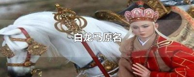 ​白龙马原名