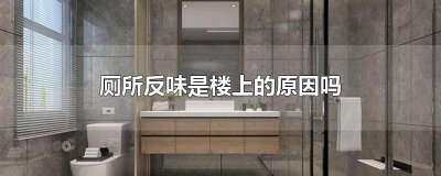 ​厕所反味是楼上的原因吗