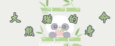 ​大熊猫的寿命