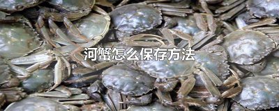 ​河蟹怎么保存方法