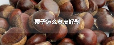 ​栗子怎么煮皮好剥