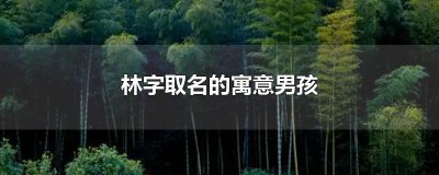 ​林字取名的寓意男孩