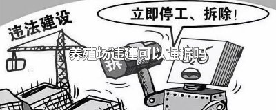 ​养殖场违建可以强拆吗