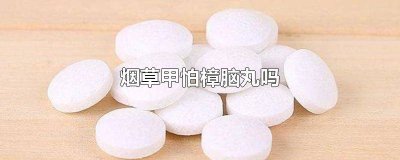 ​樟脑丸能驱烟草甲虫吗 烟草甲虫有危害吗