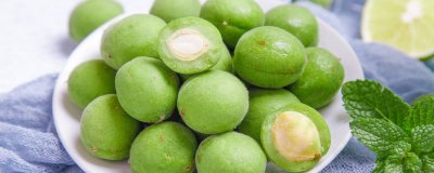 ​饭梅子是什么意思