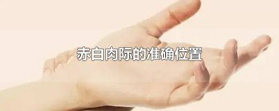 ​食指赤白肉际 赤白肉际处准确位置图片