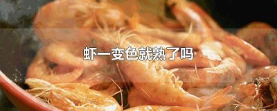 ​为什么虾煮熟的时候会变红 为什么煮熟的虾会变红