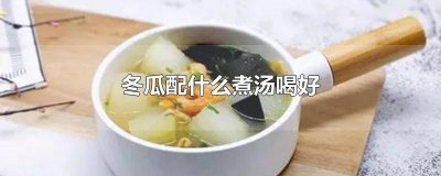 ​冬瓜配什么烧汤好喝 冬瓜和什么煮汤好喝