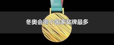 ​单届冬奥会奖牌最多的国家 第一届冬奥会奖牌最多国家