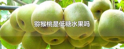 ​低血糖可以吃猕猴桃吗? 猕猴桃含糖低吗