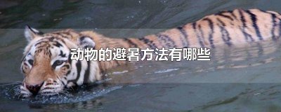 ​动物避暑的方法有那些 动物的避暑方法都有什么