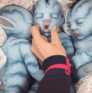 ​阿凡达婴儿走红 太逼真了