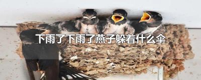 ​下雨了下雨了燕子躲着什么伞