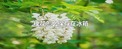 ​槐花怎么保存在冰箱