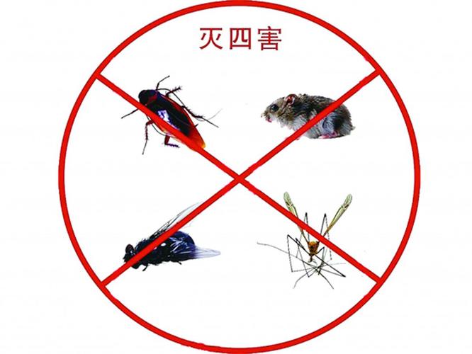 四害是指（四害分别是什么）