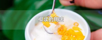 ​椰浆的用法