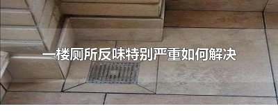 ​一楼厕所反味特别严重如何解决