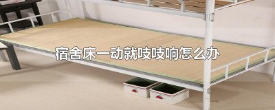 ​宿舍床一动就吱吱响怎么办
