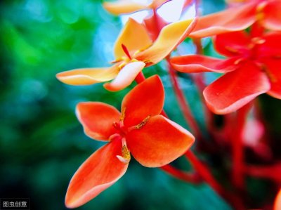 ​“年年岁岁花相似，岁岁年年人不同”究竟告诉了我们什么？