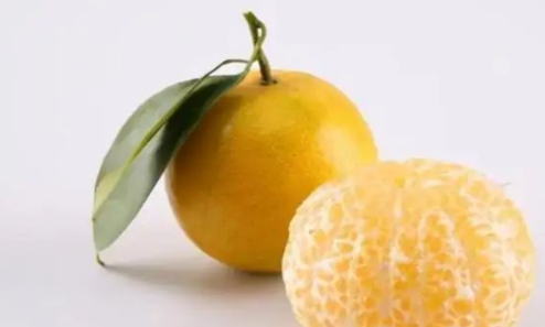 皇帝柑,甜橙又被称为皇帝柑图1