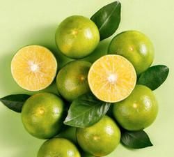 小青柑茶是哪里的特产