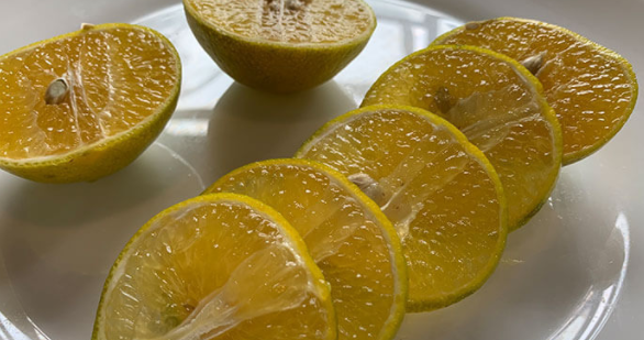 皇帝柑,甜橙又被称为皇帝柑图2